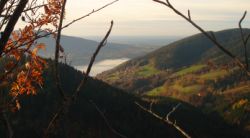 2013-10-25_Baumgartenscheidt (191)b.JPG